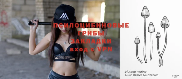 скорость Абаза