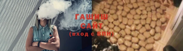 индика Абинск