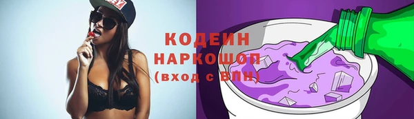 индика Абинск
