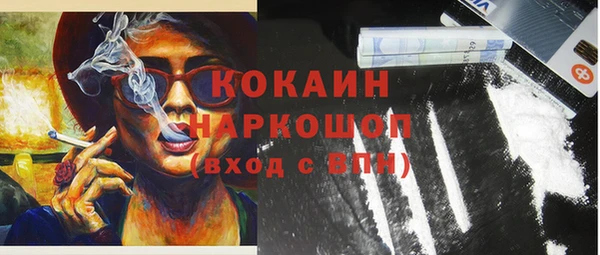 индика Абинск