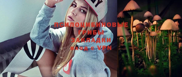 индика Абинск