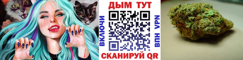 Каннабис ГИДРОПОН Тотьма